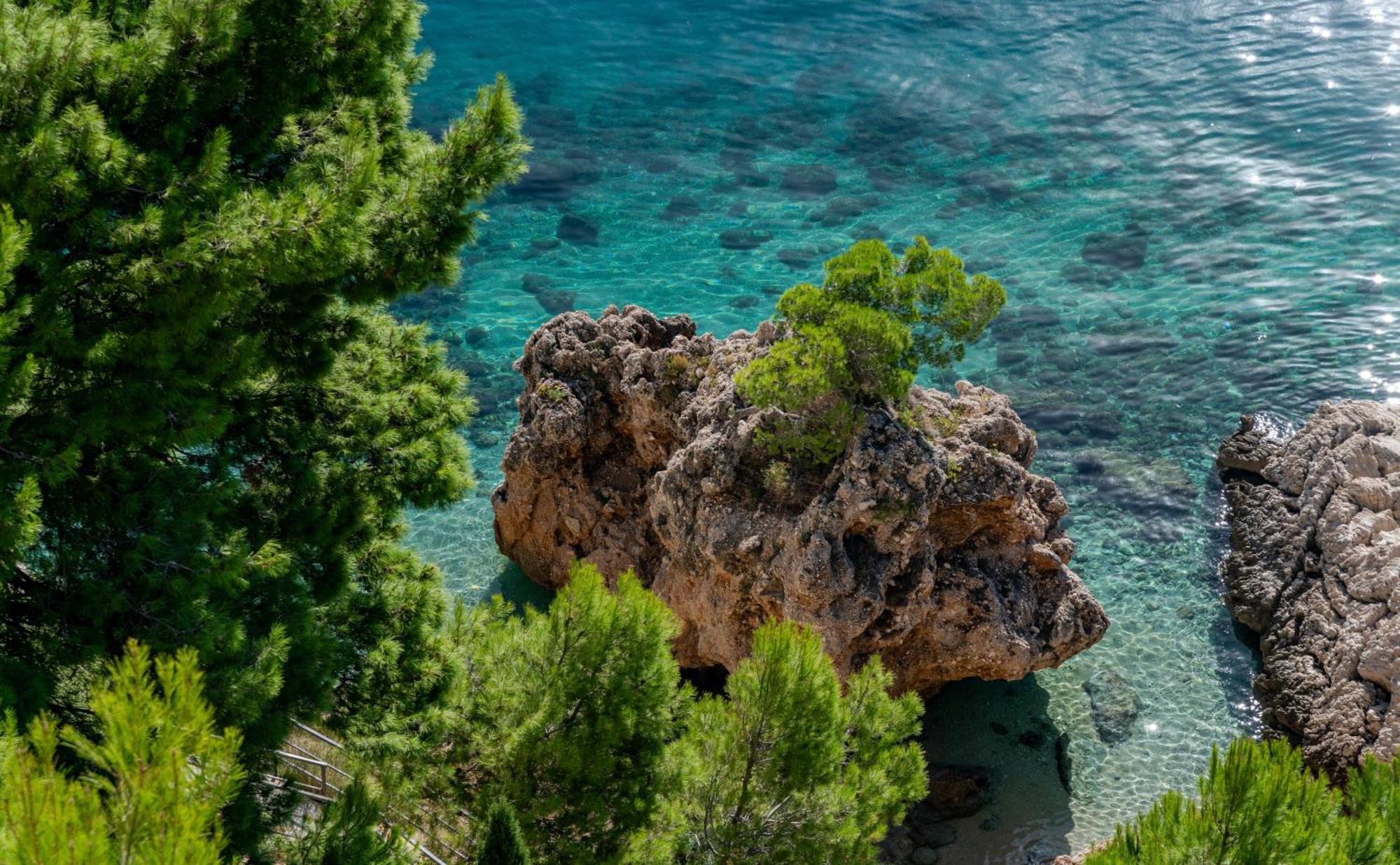 Villa Jana Marusici  Kültér fotó